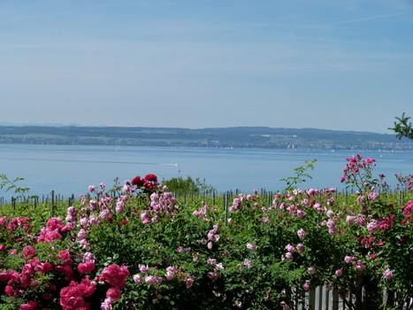   Ausblick im Sommer aus dem Appartement